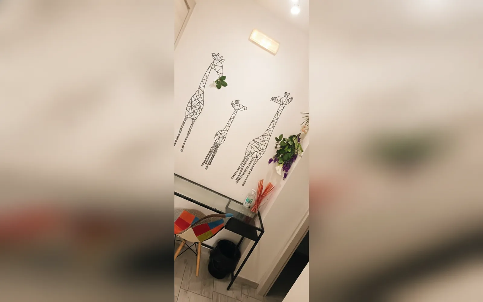 Casa Mia, struttura a Verona (foto 3)